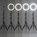 26cm Ringlicht mit Stativ - verschiedene Helligkeitsstufen