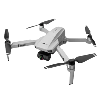 Drohne P102